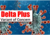 Coronavirus Delta Plus Variant Precaution, Symptoms, Severity, Effective Vaccines