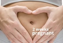 2nd Week Of Pregnancy Precaution, Things To Care