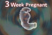3rd Week Pregnancy Care, Precautions, Important Health Tips